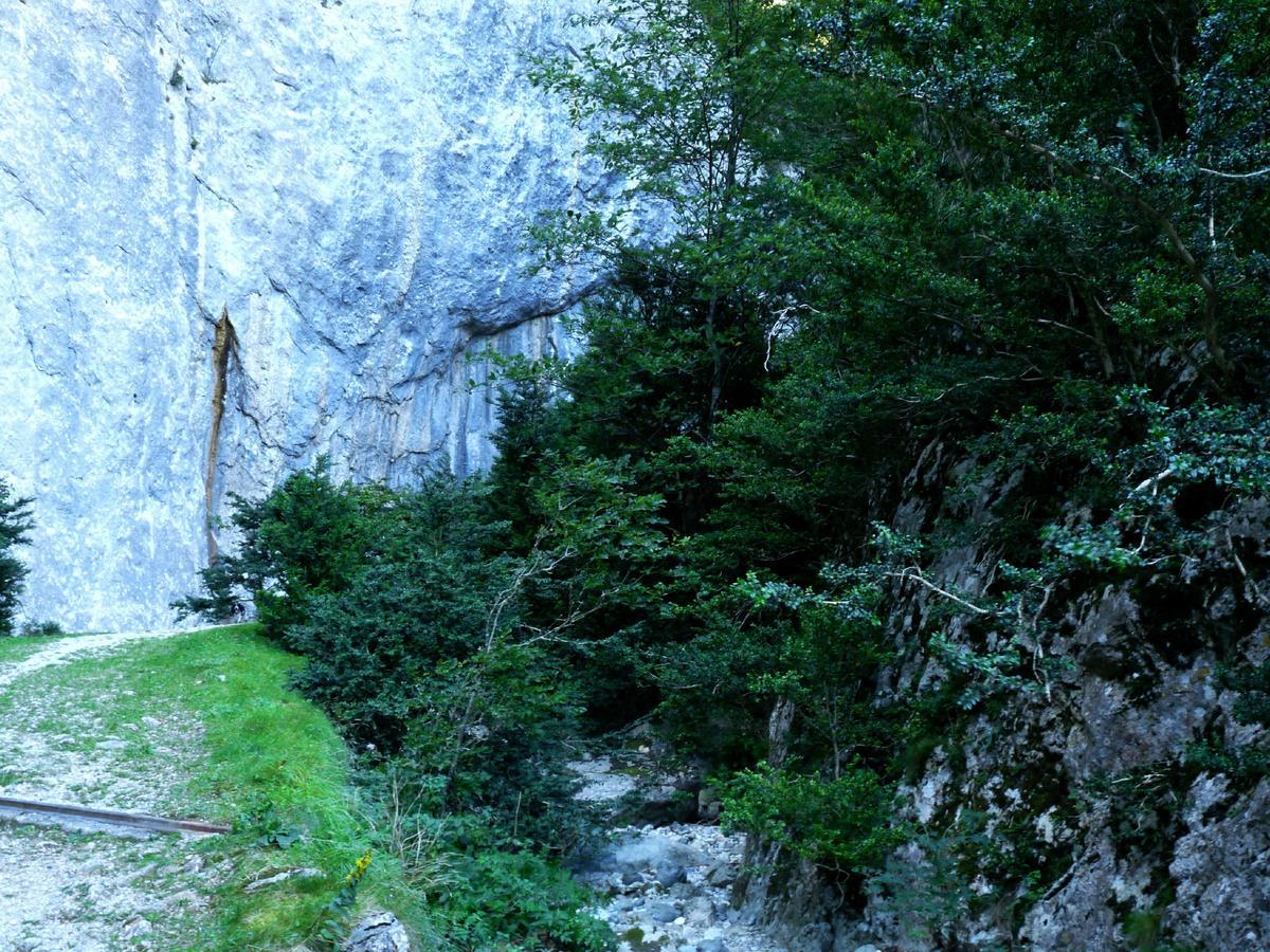 Palais Cathare 3*